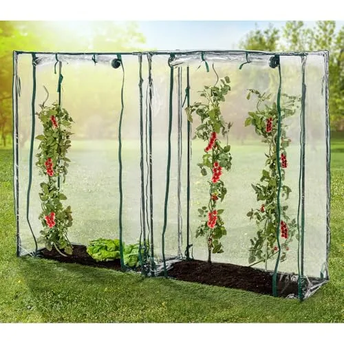 GreenYard® Gewächshaus Foliengewächshaus Tomatengewächshaus in versch. Varianten (Tomatengewächshäuser 150x100x50 cm) – Bild 6