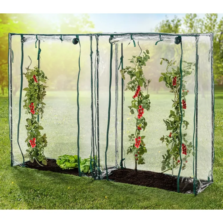 GreenYard® Gewächshaus Foliengewächshaus Tomatengewächshaus in versch. Varianten (Tomatengewächshäuser 150x100x50 cm) – Bild 1