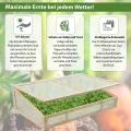 TRUTZHOLM Frühbeetaufsatz aus Massivholz 120x80x40 cm Frühbeetkasten mit verschließbarem Deckel Gewächshaus für Hochbeet 120x80 cm Beete Mini Gewächshaus Pflanzkasten (Natur) - Thumbnail 6