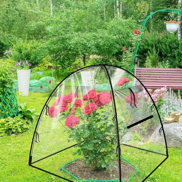 Gewächshaus Klein in PVC Transparent, Pop-Up Mini Gewächshaus 56 X 56 X 56 cm, Überwinterungszelt für Pflanzen, Kleines Gewächshaus Outdoor, für Blumen, Garten, Setzlinge, Balkon, Gemüse – Bild 8