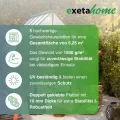 5x Gewächshausplatten 10mm I Polycarbonat Hohlkammerplatten für Gewächshäuser I PC Doppelstegplatten UV-beständig & bruchsicher I für Garten, Frühbeet uvm I 70cm x 150cm I Transparent - Thumbnail 3