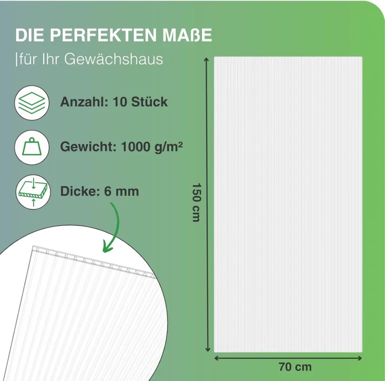 10x Gewächshausplatten 6mm I Polycarbonat Hohlkammerplatten für Gewächshäuser I PC Doppelstegplatten UV-beständig & bruchsicher I für Garten, Frühbeet uvm I 70cm x 150cm I Transparent – Bild 2