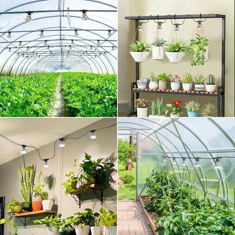 SANSI Pflanzenlampe LED Vollspektrum für Zimmerpflanzen, IP54 Wasserdichte Pflanzenleuchte Lichterkette mit 6 Stücke E27 12W Wachstumslampe Birnen für Gewächshaus, Sämling, Blumen, Gemüse (6,7 Meter) – Bild 15