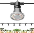 SANSI Pflanzenlampe LED Vollspektrum für Zimmerpflanzen, IP54 Wasserdichte Pflanzenleuchte Lichterkette mit 6 Stücke E27 12W Wachstumslampe Birnen für Gewächshaus, Sämling, Blumen, Gemüse (6,7 Meter) - Thumbnail 2