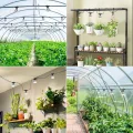 SANSI Pflanzenlampe LED Vollspektrum für Zimmerpflanzen, IP54 Wasserdichte Pflanzenleuchte Lichterkette mit 6 Stücke E27 12W Wachstumslampe Birnen für Gewächshaus, Sämling, Blumen, Gemüse (6,7 Meter) - Thumbnail 15