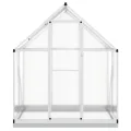 IKAYAA Gewächshaus Aluminium mit Fundament Gartenhaus Winterfest Gewächshaus Glas Glashaus Garten Tomatenhaus Frühbeet und Pflanzenhaus 169 x 114 x 202 cm Silbern und transparent - Thumbnail 3