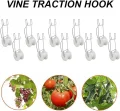 10er-Pack Tomaten-Rankgitter-Rollhaken mit 15 M Schnur für Tomaten, Pflanzen, Gewächshäuser, Blumenreben, Rankgitter-Set, Pflanzen-Rollhaken - Thumbnail 6