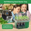 Selbstbewässerndes Saatgut-Startertablett mit zeitgesteuertem Wachstumslicht, 6 Packungen Pflanzen-Starter-Set mit Feuchtigkeitskuppeln, Mini-Gewächshaus für den Innenbereich, für - Thumbnail 3