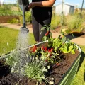 Hochbeet aus Metall 240x60x43 cm - Modulares 9-in-1 Hochbeete-Kit - Rostfreie Hochbeete für Garten aus Premium Zn-Al-Mg Stahl - Min. 20 Jahre Lebensdauer - 43 cm Hoch Gemüsebeet, Silber - Thumbnail 8