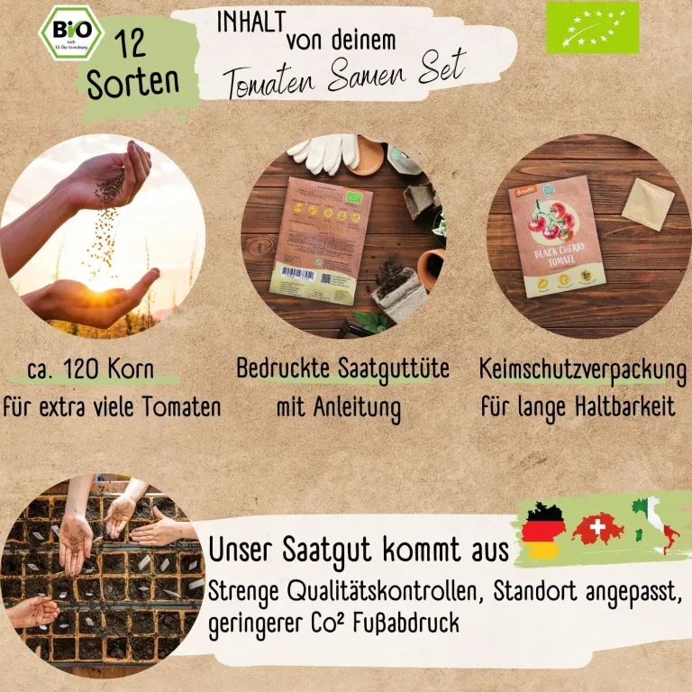 BIO mini Tomatensamen Set: 12 samenfeste Tomatensorten | Tomaten Saatgut mit seltene & alte Cocktail, Cherry & Fleischtomaten | Gemüse Samen für Balkon, Hochbeet, Garten & als Geschenk | Loveplants – Bild 2