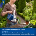 Kiepenkerl Fleisch-Tomaten Samen 1038200 - Gartentomate - Fruchtgewicht 200-250g - Inhalt für 25 Pflanzen - Gemüsesamen, Samen Gemüse, Saatgut, Gemüse Pflanzen - Thumbnail 8