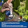 Kiepenkerl Fleisch-Tomaten Samen 1038200 - Gartentomate - Fruchtgewicht 200-250g - Inhalt für 25 Pflanzen - Gemüsesamen, Samen Gemüse, Saatgut, Gemüse Pflanzen - Thumbnail 3