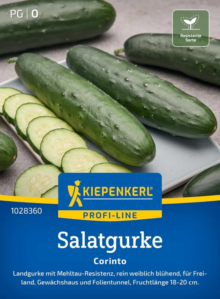 Kiepenkerl Profi-Line Salatgurkensamen Miné-Star 1028280 - Aromatische Mini-Snack-Gurken mit Mehltauresistenz, rein weiblich blühende Gemüsesamen – Bild 10