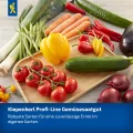 Kiepenkerl Profi-Line Salatgurkensamen Miné-Star 1028280 - Aromatische Mini-Snack-Gurken mit Mehltauresistenz, rein weiblich blühende Gemüsesamen - Thumbnail 7