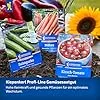 Kiepenkerl Profi-Line Salatgurkensamen Miné-Star 1028280 - Aromatische Mini-Snack-Gurken mit Mehltauresistenz, rein weiblich blühende Gemüsesamen - Thumbnail 2
