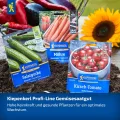 Kiepenkerl Profi-Line Salatgurkensamen Miné-Star 1028280 - Aromatische Mini-Snack-Gurken mit Mehltauresistenz, rein weiblich blühende Gemüsesamen - Thumbnail 5