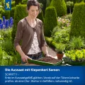 Kiepenkerl Profi-Line Salatgurkensamen Miné-Star 1028280 - Aromatische Mini-Snack-Gurken mit Mehltauresistenz, rein weiblich blühende Gemüsesamen - Thumbnail 6