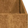 vidaXL Pflanzkübel Rostig 100x100x80 cm Wetterfester Stahl, Pflanztopf, Pflanzenständer, Hochbeet, Pflanzgefäßständer, Pflanzentablett, Gartenpflanzer - Thumbnail 9