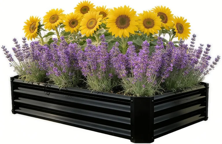 Hochbeet-Set aus Verzinkter Metall, Pflanzbeet Hochbeete für Garten, 120x60x30 cm, Hochbeete-kit für Gemüse Blumen Sukkulenten Kräuter, Blumenbeet & Pflanzentrog, Rechteckig, Schwarz – Bild 3