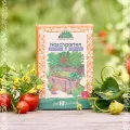 Saatgut-Set Naschgarten mit 6 samenfesten BIO-Sorten | Frisches Naschvergnügen mit Obst & Gemüse zum Selberziehen z.B. Zuckererbse, Erdbeere| Geschenk für Hobbygärtner zum Geburtstag, Ostern etc. - Thumbnail 3