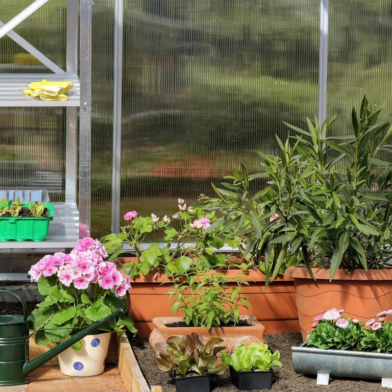 14xPolycarbonat Hohlkammerstegplatten 4mm Doppelstegplatte für Gewächshaus(60.5x121cm) 10,25 m² Gewächshausplatte UV-beständigen für Gewächshaus Garten mit 50xKlammern 50xZ-Clips – Bild 9