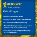 Kiepenkerl Hochbeet Vital 1080700 - Saatgut für den perfekten Gründünger. Ein Fruchtfolgeneutraler Mix ideal als Zwischenfrucht, für die folgenden Kulturen. -Samen - Thumbnail 4