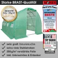 BRAST Gewächshaus Foliengewächshaus mit Stahlfundament | 2x3m - 3x8m | inkl. Erdanker Unkrautvlies & 8 Aufrollbare Fenster mit Moskitonetz | UV-stabilisierte Gitterschutzfolie 200g/m² | 300x400cm - Thumbnail 8