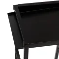 Pflanzwerk Pflanzkübel Hochbeet Gestell Elevate 60x34cm für Garten Terrasse und Balkon Blumenkübel - Pulverbeschichteter Edelstahl - Rostfrei - Premiumqualität - Frostsicher - 2 Jahre Garantie - Thumbnail 7