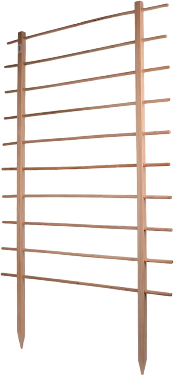 UNUS Rankhilfe aus Holz, 170 cm hoch, Natur, Wetterfeste Pflanzenstütze für Garten & Gewächshaus, einfache Montage – Bild 1