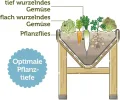VegTrug Classic V2 1,8m Hochbeet, Natur, Pflanztiefe für flach und tief wurzelndes Gemüse, 100% FSC zertifiziertes Holz, 183 x 76 x 80 cm - Thumbnail 6