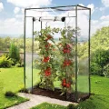 Tomaten-Gewächshaus mit PE-Abdeckung, 100 x 50 x 150 cm - Thumbnail 1
