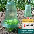 Schneckenkragen,10 Stück Schneckenschutzring Für Salatpflanzen und Kohl,Schneckenschutz Hochbeet Schützt Pflanzen,Schneckenabwehr Ohne Chemie（Enthält Keine Pflanzenhut） - Thumbnail 12