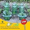 Schneckenkragen,10 Stück Schneckenschutzring Für Salatpflanzen und Kohl,Schneckenschutz Hochbeet Schützt Pflanzen,Schneckenabwehr Ohne Chemie（Enthält Keine Pflanzenhut） - Thumbnail 2