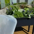 Prosperplast Hochbeet Frühbeet Bloomo mit abnehmbaren Beinen und Deckel | Frühbeet für Garten und Balkon | aus Kunststoff | Anthrazit | wetterfest | 78 x 82 x 37 cm (Hochbeet (Einzelausführung)) - Thumbnail 7