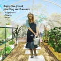 Outsunny Garten-Gewächshaus, Tunnel, 3 x 3 x 2 m, 9 m², mit Scharniertür, Plane aus Polyethylen, 150 g/m², für Gemüse, Pflanzen, Blumen - Thumbnail 7