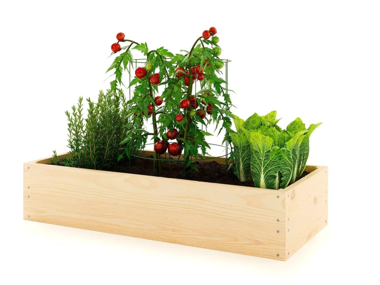 Lermowoood Hochbeet aus Holz 40x40x20 cm Geflammt – Pflanzkasten für Gemüse & Kräuter – mit Agrovließ – steckbar & stapelbar- Aussenbereich ideal für Garten, Balkon & Terrasse – Bild 9