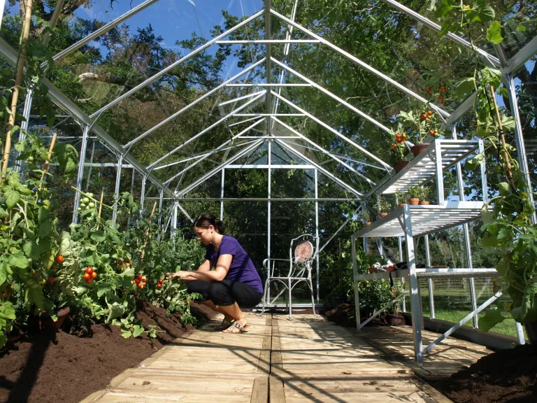 Vitavia Gewächshaus Mars 9900", Aluminium eloxiert, 9,9 m², 3 mm ESG | Wetterfestes & stabiles Treibhaus | Perfekt für Gemüse & Pflanzen | Robust & langlebig – Bild 3