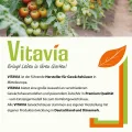 Vitavia Gewächshaus Cassandra 9900", Aluminium eloxiert, 9,9 m², ohne Sockelmauer, 3 mm ESG | Wetterfestes & stabiles Treibhaus | Perfekt für Gemüse & Pflanzen | Robust & langlebig - Thumbnail 6