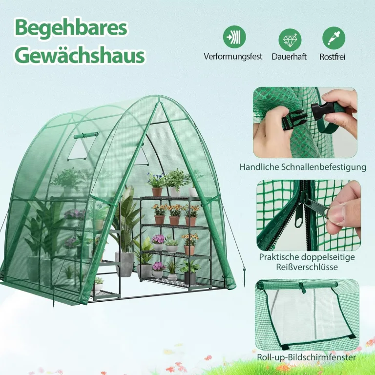 GOPLUS Gewächshaus, Tomatengewächshaus mit PE-Abdeckung & Metallrahmen, begehbares Foliengewächshaus mit Aufrollfenster & Aufrolltor, Treibhaus für Blumen, Pflanzen, 181 x 181 x 200 cm (Grün) – Bild 2