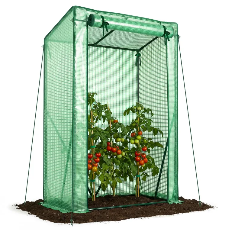 VOUNOT Gewächshaus Foliengewächshaus 200x77x170 cm, Schrägdach Tomatengewächshaus mit 2 Sichtfenster, Stabil Tomatenhaus für Gemüse, Blumen & Obst, Verstärkte PE-Folie 135g/m², Grün – Bild 9