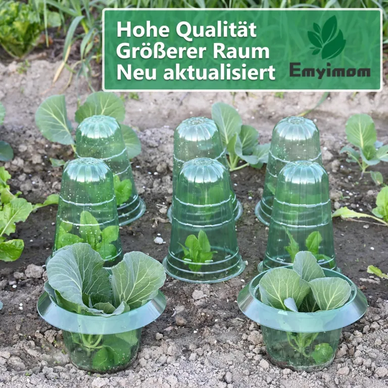 Pflanzenhut, Pflanzhütchen für Salatpflanzen zum Schutz vor Vögeln, Schnecken, Frost oder Witterung - Schützt Pflanzen vor Tierfraß,Kann mit einem Schneckenkragen verwendet werde. – Bild 8