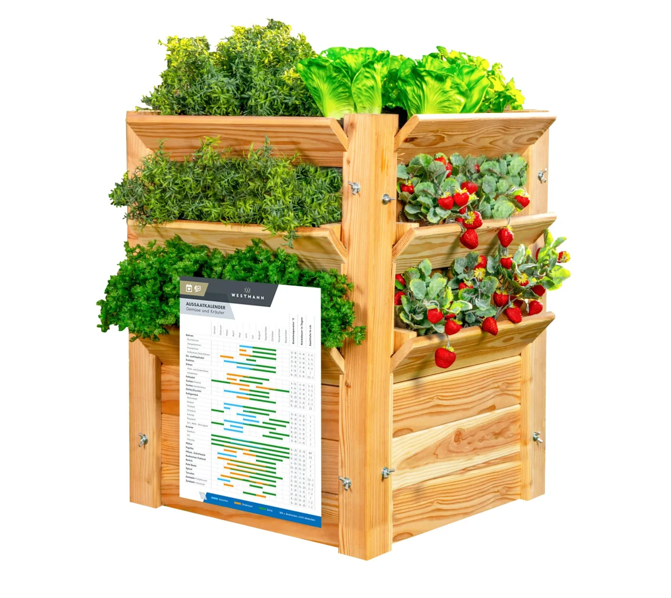 WESTMANN Premium Hochbeet aus Lärchenholz mit Aussaatkalender | Natur | 66x66x73 cm | Kräuterbeet | Holzhochbeet zum Bepflanzen von Gemüse & Kräutern - Bild 1