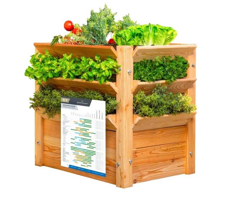 WESTMANN Premium Hochbeet aus Lärchenholz mit Aussaatkalender | Natur | 66x66x73 cm | Kräuterbeet | Holzhochbeet zum Bepflanzen von Gemüse & Kräutern – Bild 9