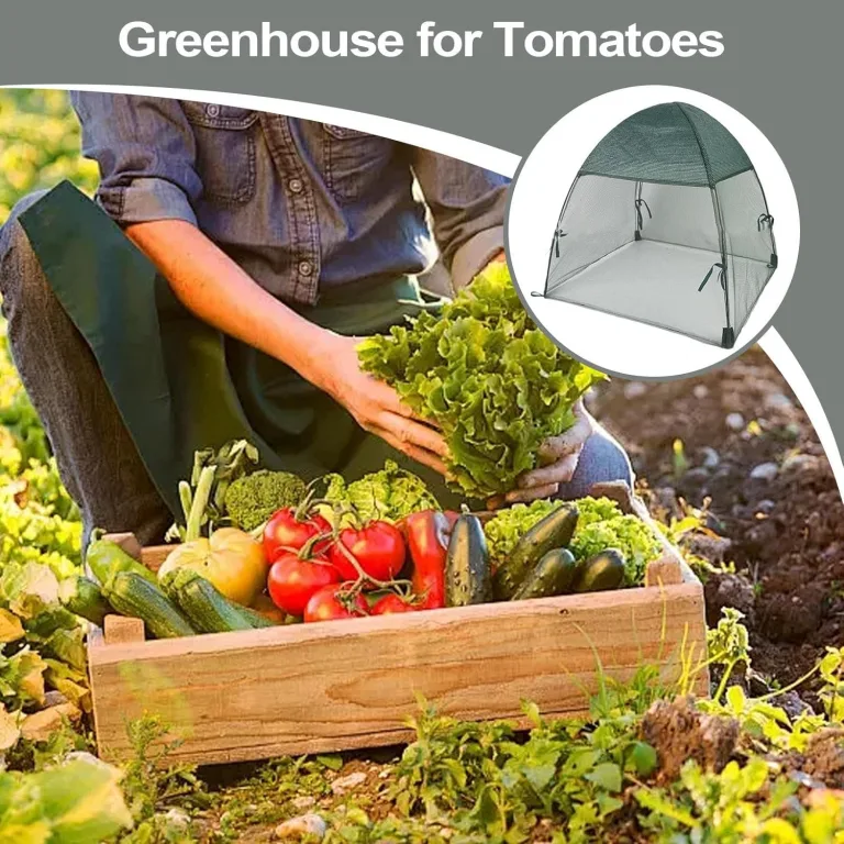 Greenhouse Tomatenhause für den Außenbereich – Mini-Gewächshausabdeckung, mobiler Schutz | Topfabdeckung im Freien, schützendes Blumentopfzelt für Tomaten, klein – Bild 7