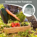 Greenhouse Tomatenhause für den Außenbereich – Mini-Gewächshausabdeckung, mobiler Schutz | Topfabdeckung im Freien, schützendes Blumentopfzelt für Tomaten, klein - Thumbnail 7