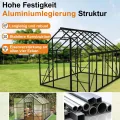 YRHome Premium Gewächshaus Aluminium 310x250x205cm 7.75m² Begehbares Garten-Gewächshaus mit verstärktem Fundament & Dachfenster & Tür Wetterfest & temperaturbeständig für Tomaten, Gemüse & Pflanzen - Thumbnail 4