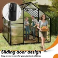 Froadp Gewächshaus aus Aluminium mit Fundament 310x250x205cm Gartengewächshäuser 4mm PC-Hohlkammerplatten Wetterfest Treibhaus, Tomatenhaus mit Fenstern Treibhaus für Garten & Aufzucht - Thumbnail 5