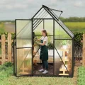 Froadp Gewächshaus aus Aluminium mit Fundament 230x180x195cm Gartengewächshäuser 4mm PC-Hohlkammerplatten Wetterfest Treibhaus, Tomatenhaus mit Fenstern Treibhaus für Garten & Aufzucht - Thumbnail 8