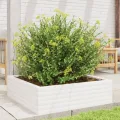 Gecheer Pflanzkübel Weiß Robustes Massivholz Kiefer großzügiger Platz für Pflanzen Gemüse Kräuter und Blumen ideal für Garten Balkon Terrasse - Thumbnail 4