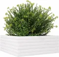 Gecheer Pflanzkübel Weiß 60x60x23 cm Massivholz Kiefer robust und stabil für Garten Dekoration - Thumbnail 5